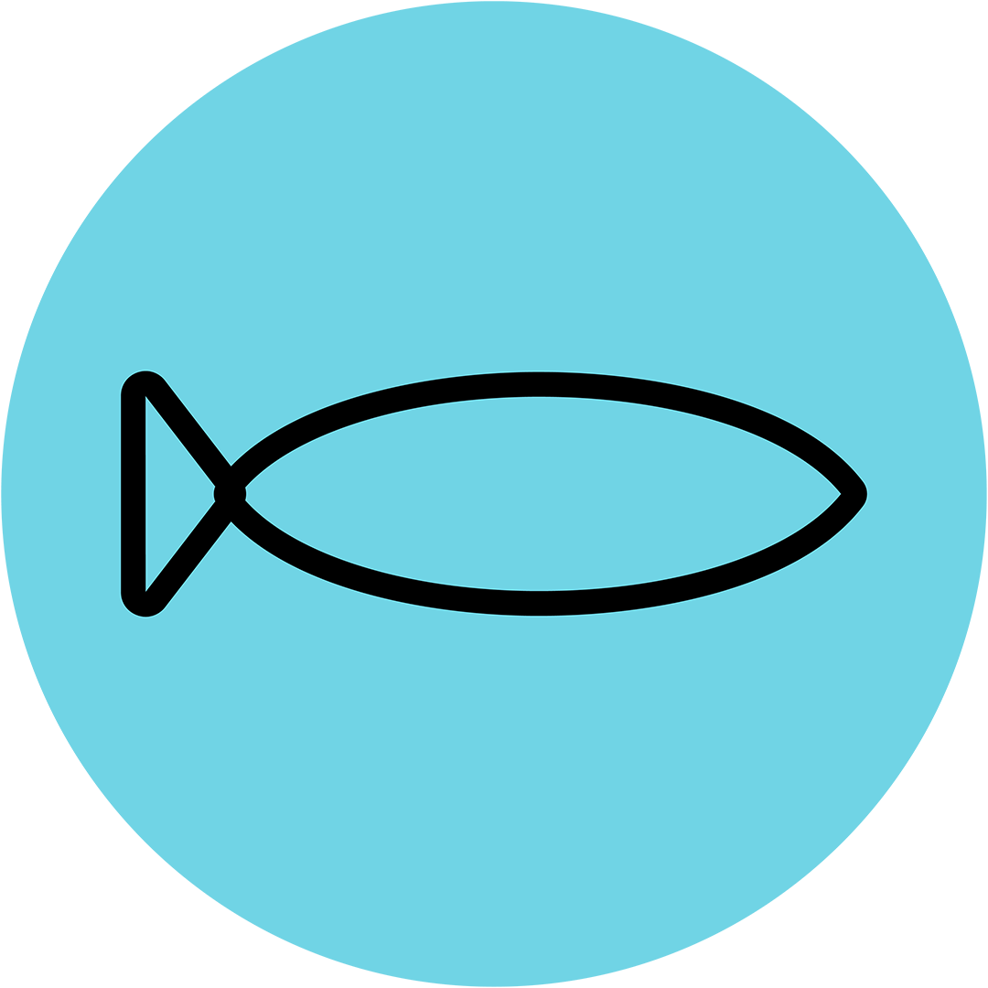 Fish icon